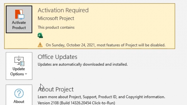 Free product key for Microsoft Project Professional 2021